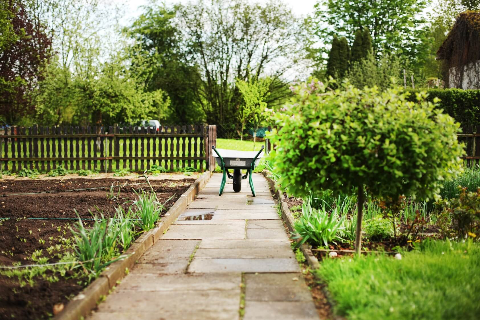 service entretien jardin