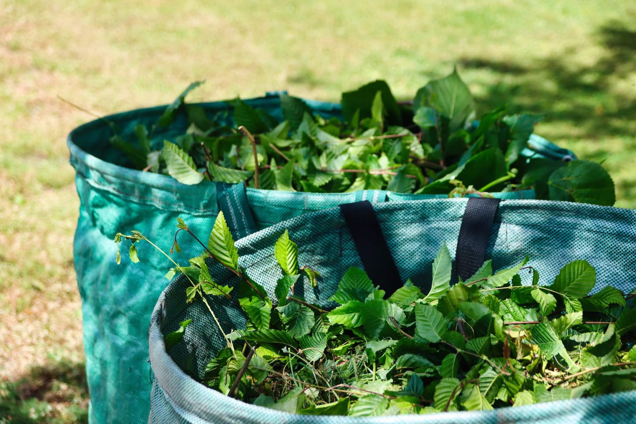 service entretien jardin