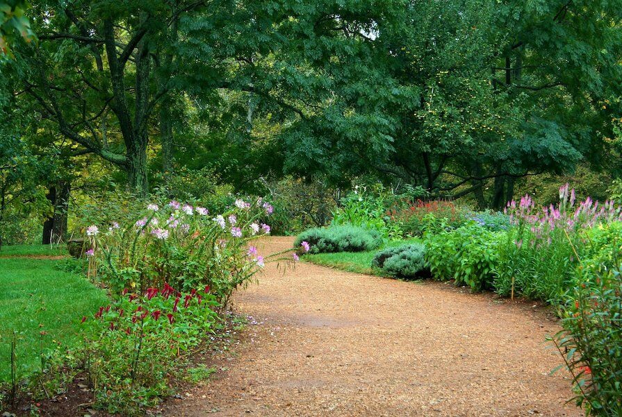 Entretien massifs jardin