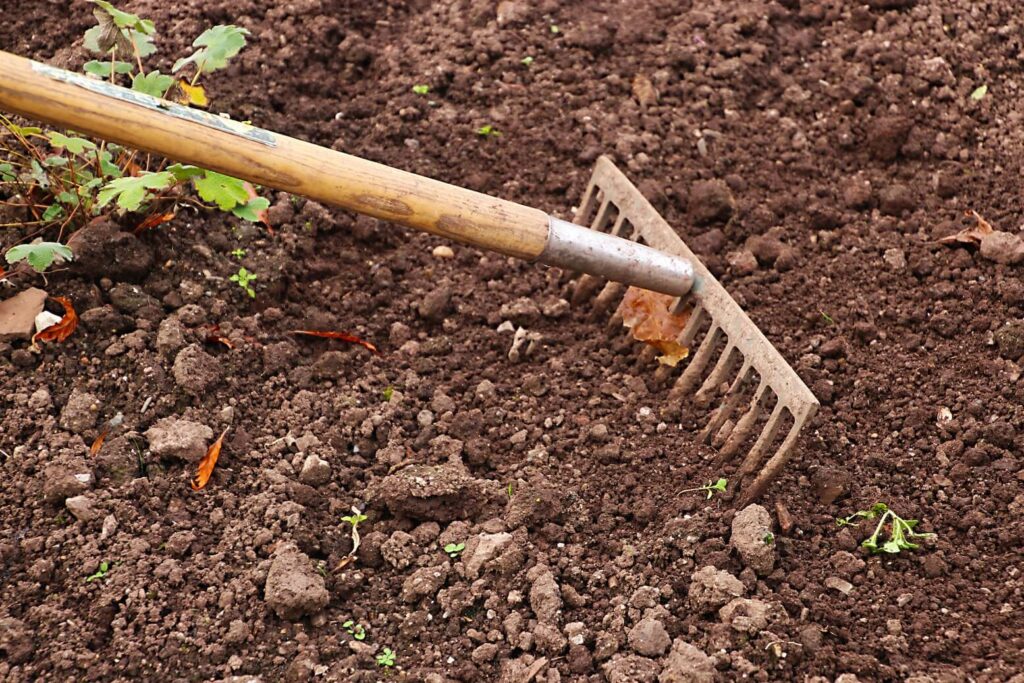 désherbage et entretien massifs jardinier