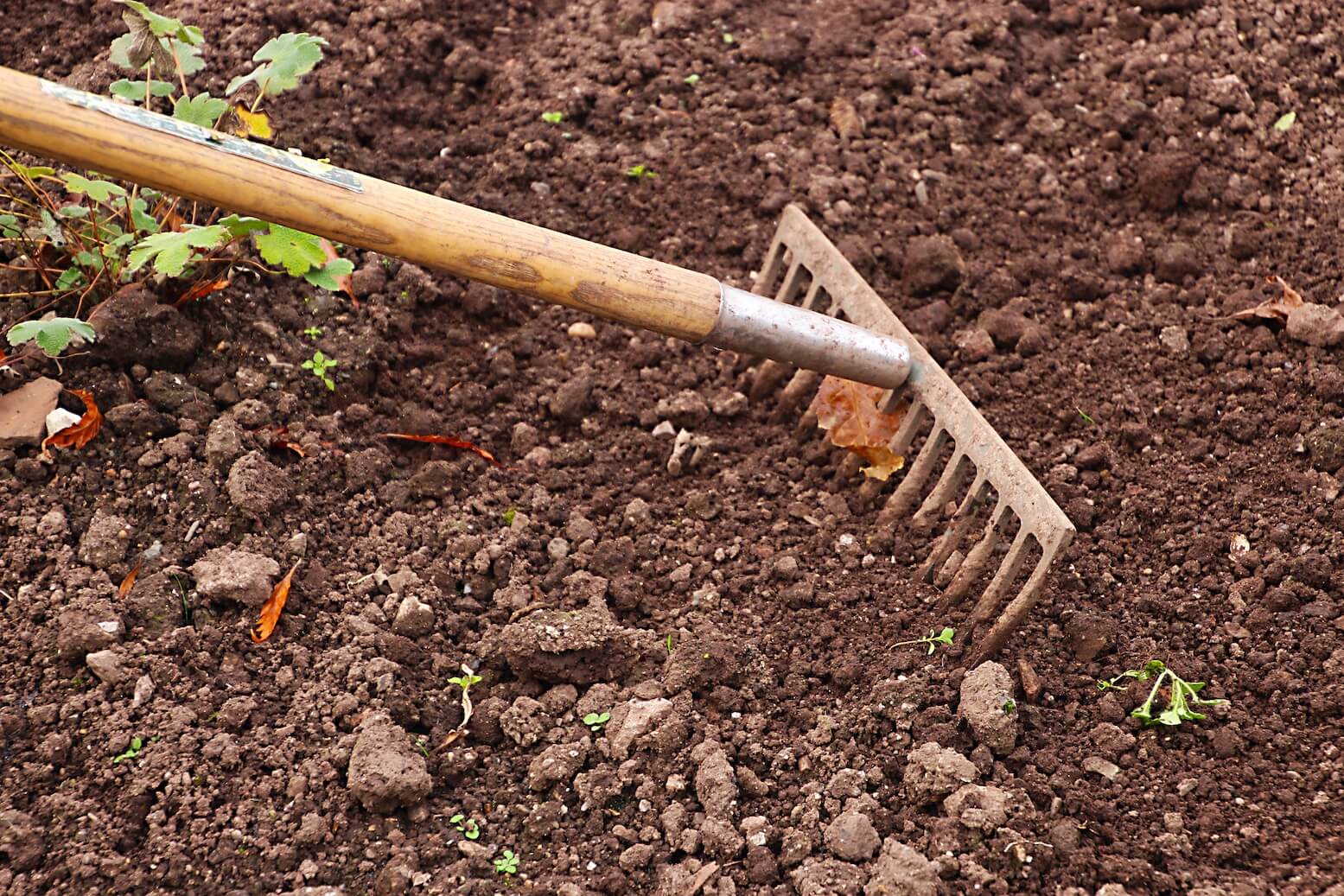 service entretien jardin