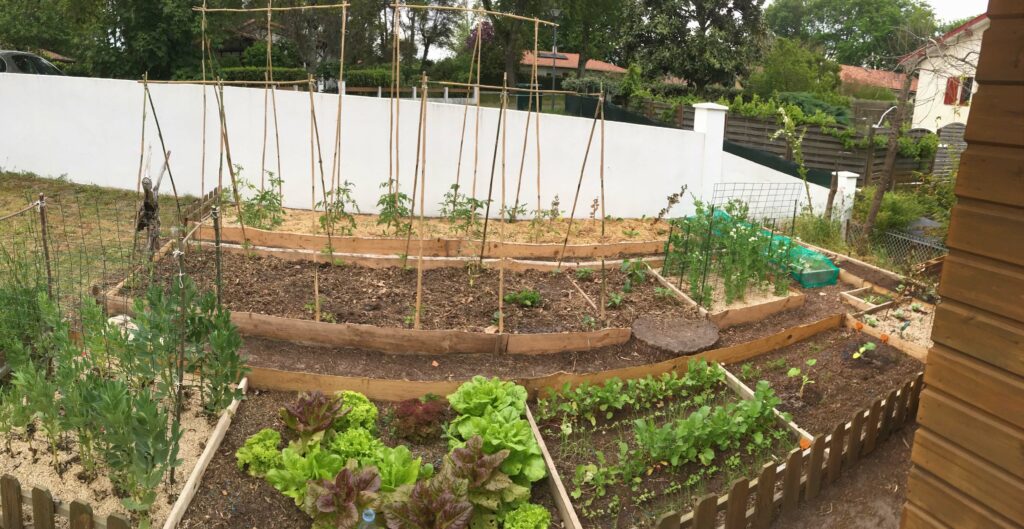 Mise en place potager